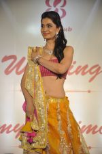at Wedding Show by Amy Billiomoria in Mumbai on 28th Sept 2014 (481)_5429974f36bd8.JPG