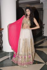 at Wedding Show by Amy Billiomoria in Mumbai on 28th Sept 2014 (66)_542996771f667.JPG