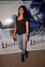 at Haider screening in Sunny Super Sound on 29th Sept 2014 (41)_542a9314b37a2.JPG