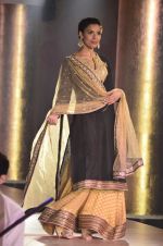 Model walks for Maheka Mirpuri_s show for cancer cause in Taj Hotel, Mumbai on 6th Oct 2014(705)_5433884750ac7.JPG