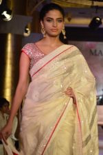 Model walks for Maheka Mirpuri_s show for cancer cause in Taj Hotel, Mumbai on 6th Oct 2014(759)_543388a295454.JPG