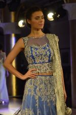 Model walks for Maheka Mirpuri_s show for cancer cause in Taj Hotel, Mumbai on 6th Oct 2014(780)_543388c69bb1b.JPG