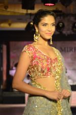 Model walks for Maheka Mirpuri_s show for cancer cause in Taj Hotel, Mumbai on 6th Oct 2014(788)_543388d7e2bbb.JPG