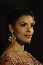 Model walks for Maheka Mirpuri_s show for cancer cause in Taj Hotel, Mumbai on 6th Oct 2014(794)_543388e4e617f.JPG