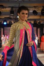 Model walks for Maheka Mirpuri_s show for cancer cause in Taj Hotel, Mumbai on 6th Oct 2014(950)_543389965f239.JPG