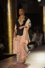 Model walks for Maheka Mirpuri_s show for cancer cause in Taj Hotel, Mumbai on 6th Oct 2014(955)_5433899e65b05.JPG