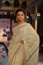 Model walks for Maheka Mirpuri_s show for cancer cause in Taj Hotel, Mumbai on 6th Oct 2014(959)_543389a3b7de3.JPG