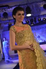 Model walks for Maheka Mirpuri_s show for cancer cause in Taj Hotel, Mumbai on 6th Oct 2014(966)_543389aecb536.JPG