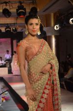 Model walks for Maheka Mirpuri_s show for cancer cause in Taj Hotel, Mumbai on 6th Oct 2014(979)_543389c3a7f39.JPG