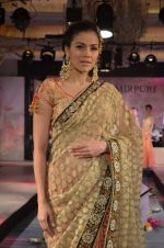 Model walks for Maheka Mirpuri_s show for cancer cause in Taj Hotel, Mumbai on 6th Oct 2014(980)_543389c737722.JPG