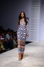 Model walk the ramp for Hemant and Nandita Show on wills day 1 on 8th Oct 2014  (90)_5435618278efa.JPG