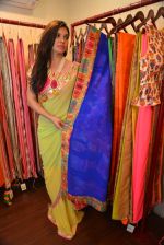 at Ushma Vaidya presented her festive collection in Dvar, Juhu, Mumbai on 7th Oct 2014 (354)_5434dbfd3aafc.JPG