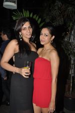 at Nido Bar Nights by Butter Events in Mumbai on 10th Oct 2014 (7)_54391f295119a.JPG
