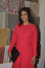 at the Launch of D_Decor Store in Bandra on 10th Oct 2014 (23)_54391f91c9c49.JPG
