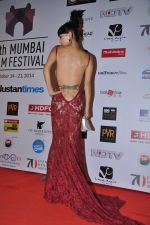 at 16th Mumbai Film Festival in Mumbai on 14th Oct 2014 (111)_543e1e8b52c23.JPG