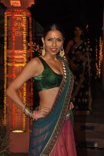 Candice Pinto at Sachiin Joshi_s Diwali bash in Mumbai on 24th Oct 2014 (145)_544b8f9d6a87a.JPG