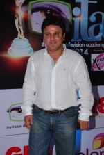 Ali Asgar at ITA Awards red carpet in Mumbai on 1st Nov 2014 (533)_54563347313f9.JPG