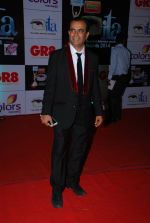 at ITA Awards red carpet in Mumbai on 1st Nov 2014 (101)_545633cd445f3.JPG