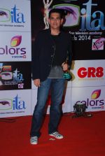 at ITA Awards red carpet in Mumbai on 1st Nov 2014 (169)_545633edf1422.JPG