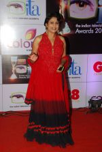 at ITA Awards red carpet in Mumbai on 1st Nov 2014 (200)_545633f3df8a7.JPG