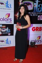 at ITA Awards red carpet in Mumbai on 1st Nov 2014 (253)_5456340baedb1.JPG