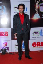 at ITA Awards red carpet in Mumbai on 1st Nov 2014 (261)_5456340f54ab5.JPG