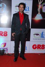 at ITA Awards red carpet in Mumbai on 1st Nov 2014 (263)_54563411a9def.JPG
