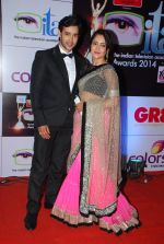 at ITA Awards red carpet in Mumbai on 1st Nov 2014 (489)_545634828eb6d.JPG
