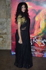 Nandana Sen at the Screening of the film Rang Rasiya in Lightbox on 5th Nov 2014 (41)_545b821bc7ca5.JPG