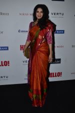 Nandana Sen at Hello Hall of fame red carpet 2014 in Mumbai on 9th Nov 2014 (287)_54605ff4daca3.JPG