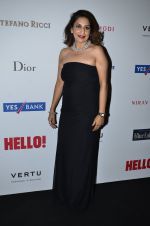 at Hello Hall of fame red carpet 2014 in Mumbai on 9th Nov 2014 (11)_54605f0321068.JPG