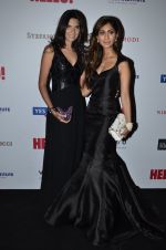 at Hello Hall of fame red carpet 2014 in Mumbai on 9th Nov 2014 (130)_54605f7715009.JPG