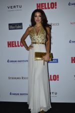 at Hello Hall of fame red carpet 2014 in Mumbai on 9th Nov 2014 (140)_54605f852c4ff.JPG