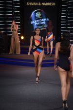 Model walk the ramp for Shivan Naresh at Blenders Pride Fashion Tour 2014 on 30th Nov 2014 (41)_547c5ade6fd05.JPG