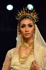 Model walk the ramp for Suneet Verma for Blenders with jewels by Azva on 29th Nov 2014 (191)_547c4af8def43.JPG