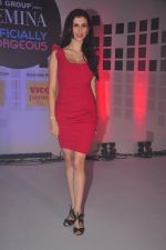 Claudia Ciesla at Femina Officially Gorgeous in Pune on 9th Dec 2014 (4)_5487ef0fd3599.JPG