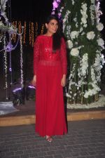 Richa Chadda at Sangeet ceremony of Riddhi Malhotra and Tejas Talwalkar in J W Marriott, Mumbai on 13th Dec 2014 (561)_548ec557aea41.JPG