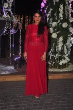 Richa Chadda at Sangeet ceremony of Riddhi Malhotra and Tejas Talwalkar in J W Marriott, Mumbai on 13th Dec 2014 (563)_548ec55914061.JPG