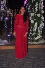 Richa Chadda at Sangeet ceremony of Riddhi Malhotra and Tejas Talwalkar in J W Marriott, Mumbai on 13th Dec 2014 (564)_548ec55a700e0.JPG