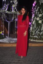Richa Chadda at Sangeet ceremony of Riddhi Malhotra and Tejas Talwalkar in J W Marriott, Mumbai on 13th Dec 2014 (565)_548ec55bc4a92.JPG