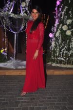 Richa Chadda at Sangeet ceremony of Riddhi Malhotra and Tejas Talwalkar in J W Marriott, Mumbai on 13th Dec 2014 (566)_548ec55d2991d.JPG
