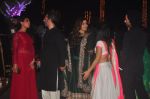 Richa Chadda at Sangeet ceremony of Riddhi Malhotra and Tejas Talwalkar in J W Marriott, Mumbai on 13th Dec 2014 (568)_548ec55f54fa5.JPG