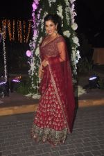 Sophie Chaudhary at Sangeet ceremony of Riddhi Malhotra and Tejas Talwalkar in J W Marriott, Mumbai on 13th Dec 2014 (150)_548ec6aa49521.JPG