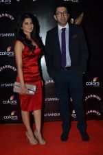 Jennifer Winget at Sansui Stardust Awards red carpet in Mumbai on 14th Dec 2014 (961)_548fd0705e453.JPG