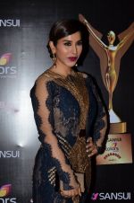 Sophie Chaudhary at Stardust Awards 2014 in Mumbai on 14th Dec 2014 (582)_549039f86d105.JPG
