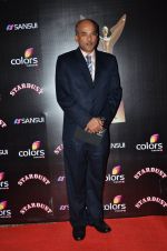 at Sansui Stardust Awards red carpet in Mumbai on 14th Dec 2014 (608)_548fcfbe0a307.JPG