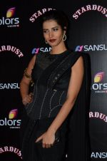 at Stardust Awards 2014 in Mumbai on 14th Dec 2014 (402)_549034aeda9a1.JPG
