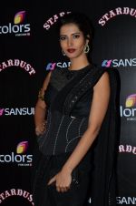 at Stardust Awards 2014 in Mumbai on 14th Dec 2014 (403)_549034afa432d.JPG