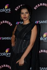 at Stardust Awards 2014 in Mumbai on 14th Dec 2014 (406)_549034b213ac0.JPG
