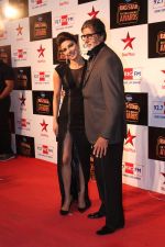 Priyanka Chopra, Amitabh bachchan at Big Star Entertainment Awards Red Carpet in Mumbai on 18th Dec 2014 (4)_5494036112469.JPG